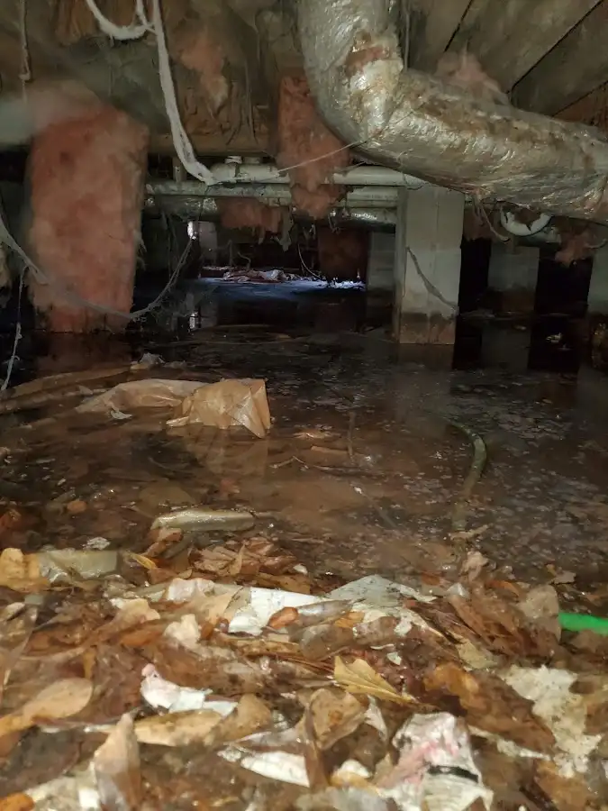 Crawl space flood assessment for Commercial Water Damage Restoration in Lawrenceburg