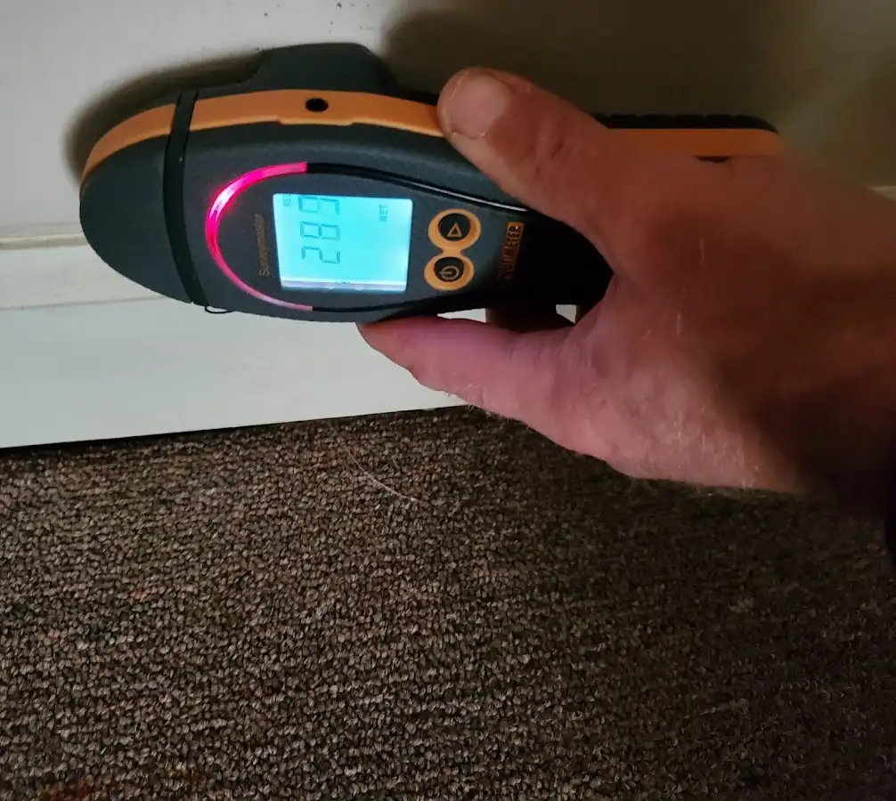 Moisture detection at baseboard during Mold Inspection & Testing in Lawrenceburg